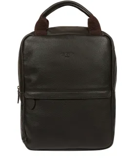 'Alps' Brown Leather Backpack